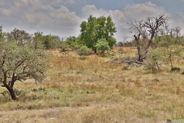 25 Dallas Josie Rd, Harper, TX 78631