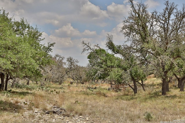 25 Dallas Josie Rd, Harper, TX 78631