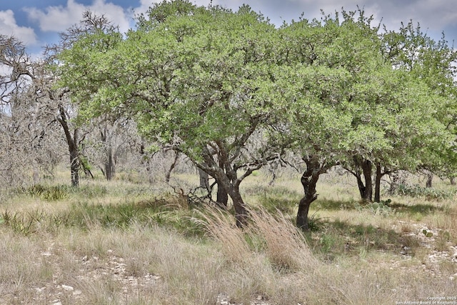 25 Dallas Josie Rd, Harper, TX 78631