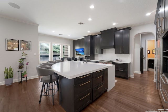 314 Regent Cir, Shavano Park, TX 78231 - kitchen featuring custom range hood, ornamental molding, arched walkways, baseboards, and an island with sink