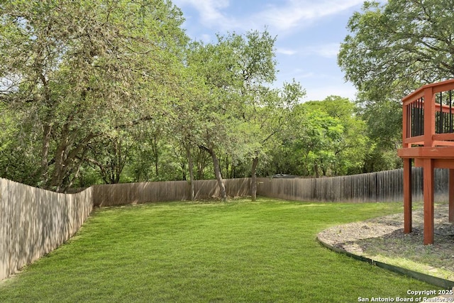17214 Irongate Rail, San Antonio, TX 78247 - view of yard