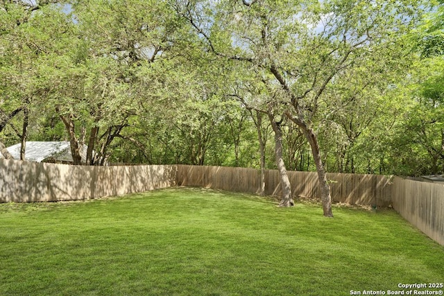 17214 Irongate Rail, San Antonio, TX 78247 - view of yard