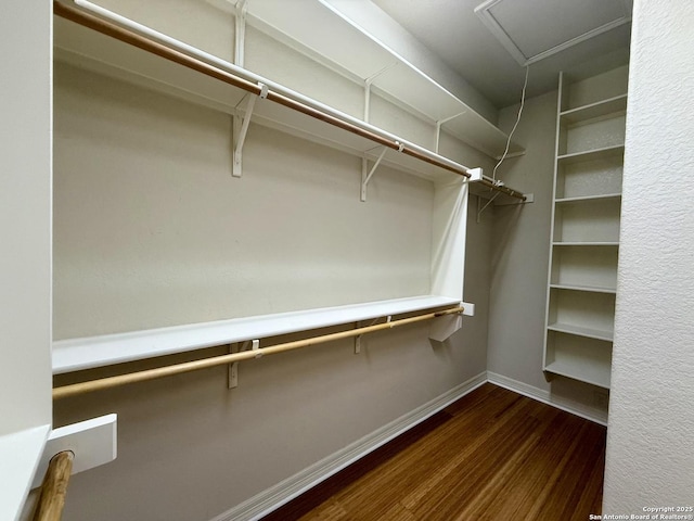 1410 Melanie, San Antonio, TX 78258 - spacious closet with dark wood-style flooring