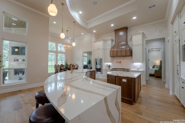 507 Arthur Ct, Spring Branch, TX 78070 - kitchen featuring a large island with sink, custom exhaust hood, ornamental molding, light wood finished floors, and decorative backsplash