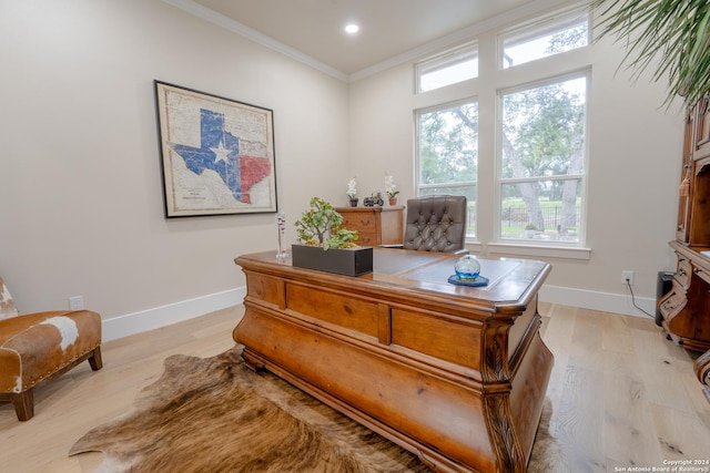 507 Arthur Ct, Spring Branch, TX 78070 - office area with light wood-style floors, baseboards, ornamental molding, and recessed lighting