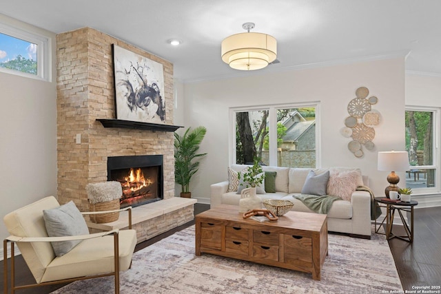 104 Kendall Rdg, Boerne, TX 78015 - living area with wood finished floors, a fireplace, crown molding, and baseboards