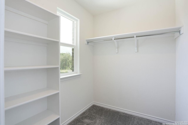 2006 Prometheus Cv, San Antonio, TX 78245 - walk in closet featuring dark carpet