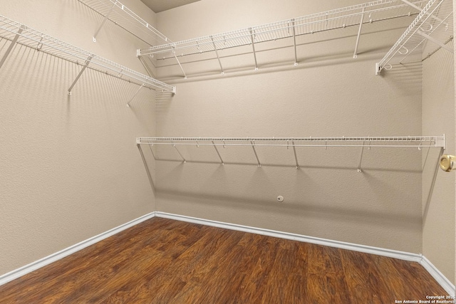 6218 Ozona Ml, San Antonio, TX 78253 - spacious closet with wood finished floors