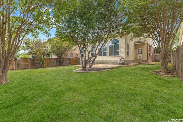 6218 Ozona Ml, San Antonio, TX 78253 - view of yard