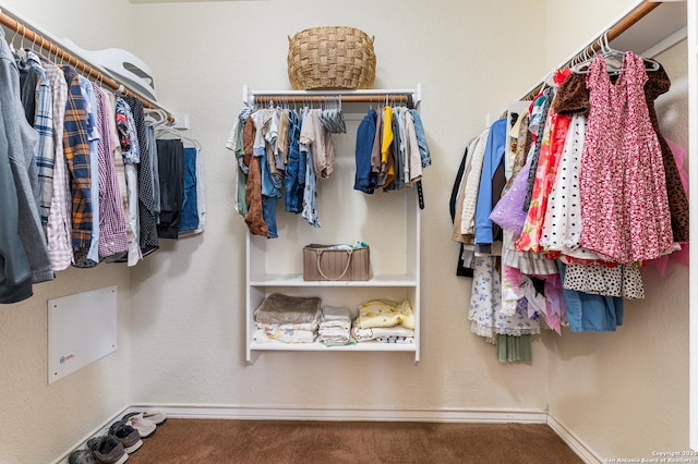 7619 Bit Cir, Elmendorf, TX 78112 - walk in closet with carpet floors