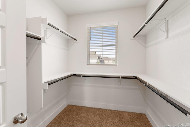 9607 Stillwater Pass, San Antonio, TX 78254 - spacious closet with carpet flooring