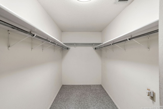 18718 Legend Oaks, San Antonio, TX 78259 - walk in closet with carpet flooring
