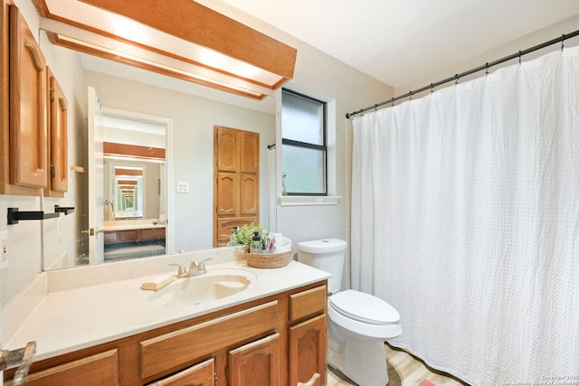 5535 Timber Cyn, San Antonio, TX 78250 - bathroom with toilet, vanity, and plenty of natural light