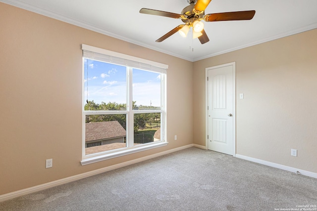 890 Live Oak, Spring Branch, TX 78070 - carpeted spare room with ceiling fan, crown molding, and baseboards