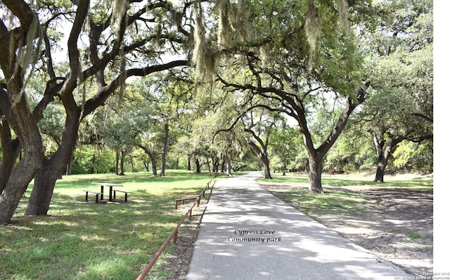890 Live Oak, Spring Branch, TX 78070 - view of property's community with a lawn