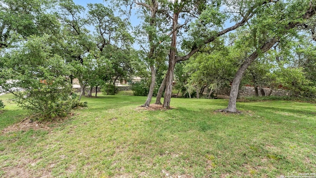 3714 Hideaway Grn, San Antonio, TX 78261 - view of yard