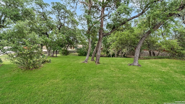 3714 Hideaway Grn, San Antonio, TX 78261 - view of green lawn
