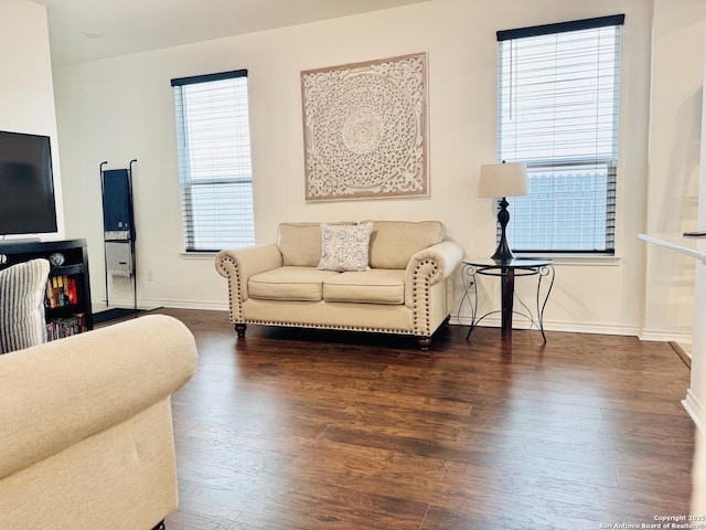 1919 Overlook Knl, San Antonio, TX 78245 - living room featuring wood finished floors and baseboards
