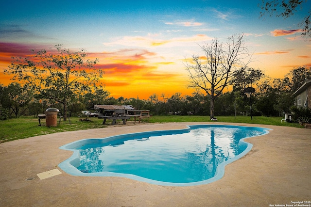 13040 Tomlynn, Atascosa, TX 78002 - outdoor pool featuring a patio area, a yard, and view of scattered trees