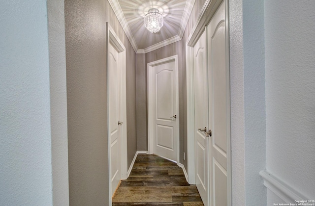 27123 Trinity Woods, San Antonio, TX 78261 - hallway featuring a textured wall and dark wood-style floors