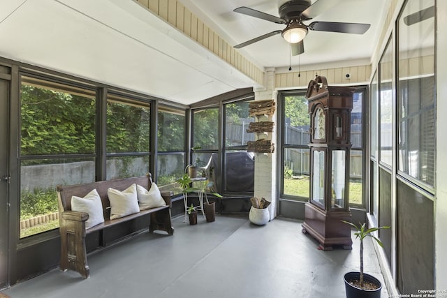 3105 Pecan Valley Dr, Temple, TX 76502 - sunroom with a ceiling fan and healthy amount of natural light