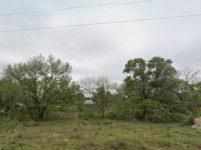 48 Grey Fox, Poteet, TX 78065