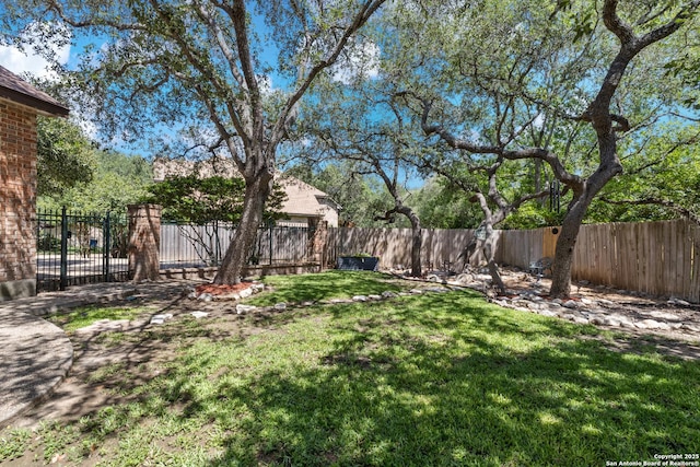 18203 Newcliff, San Antonio, TX 78259 - view of yard