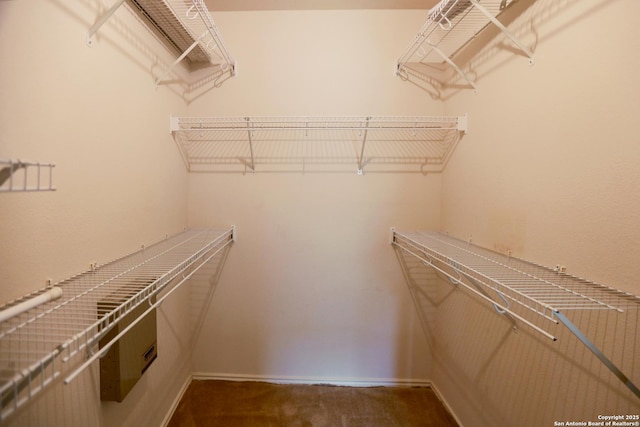 13904 Bressani Way, Live Oak, TX 78233 - spacious closet featuring dark colored carpet