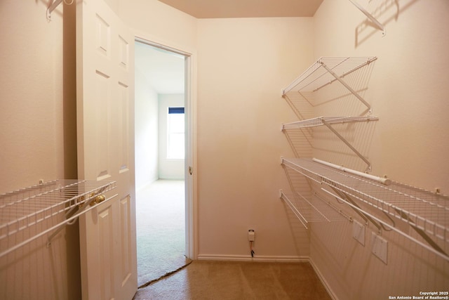 13904 Bressani Way, Live Oak, TX 78233 - walk in closet featuring carpet