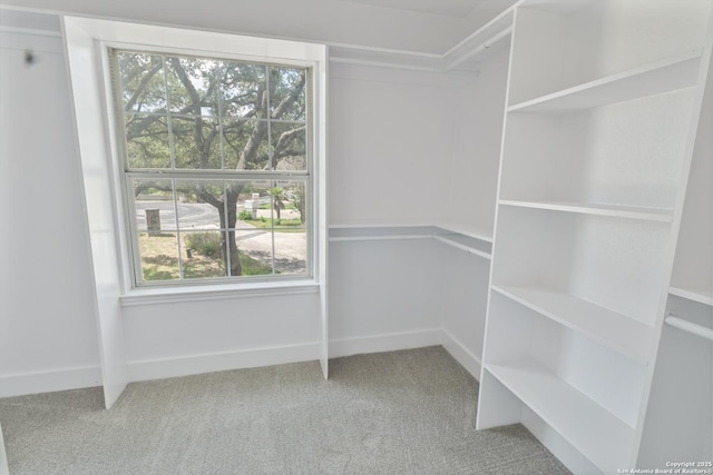 907 Amigo, San Antonio, TX 78260 - walk in closet featuring carpet floors