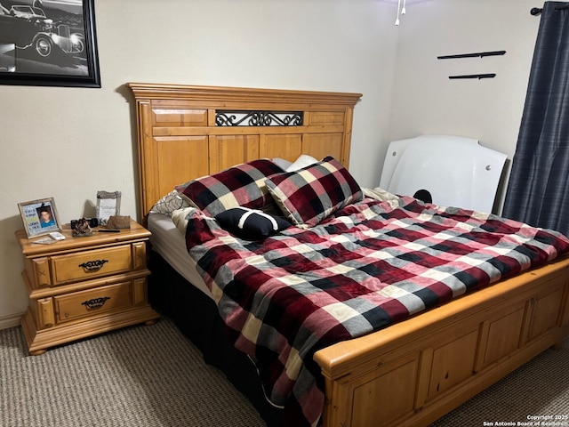 952 Madrona Rd, Pipe Creek, TX 78063 - view of carpeted bedroom