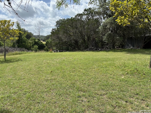 952 Madrona Rd, Pipe Creek, TX 78063 - view of green lawn