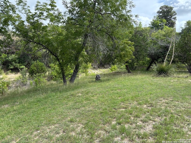952 Madrona Rd, Pipe Creek, TX 78063 - view of yard featuring a forest view