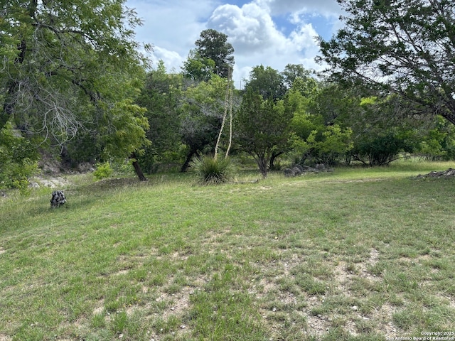 952 Madrona Rd, Pipe Creek, TX 78063 - view of grassy yard