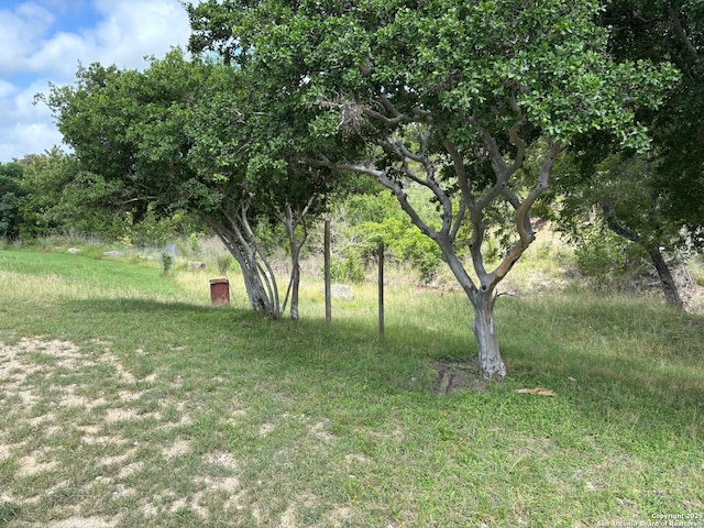 952 Madrona Rd, Pipe Creek, TX 78063 - view of yard