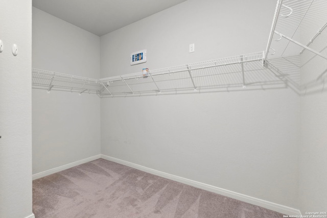 164 Antler Bnd, San Antonio, TX 78253 - spacious closet featuring carpet flooring