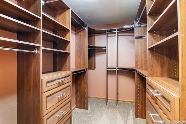 13810 S Port Blf, San Antonio, TX 78216 - walk in closet with carpet floors