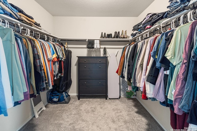 2079 Chelsea Grv, New Braunfels, TX 78130 - spacious closet featuring carpet flooring