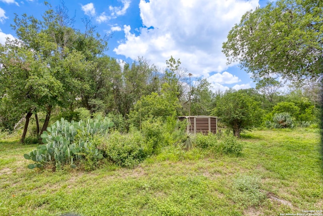 2422 Hillcrest Dr, San Antonio, TX 78228