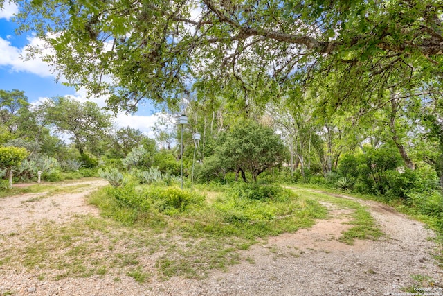 2422 Hillcrest Dr, San Antonio, TX 78228