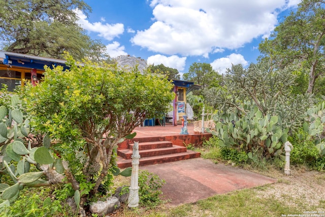 2422 Hillcrest Dr, San Antonio, TX 78228