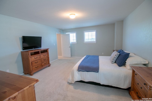 10322 Lady Bird, San Antonio, TX 78252 - bedroom featuring light carpet and baseboards