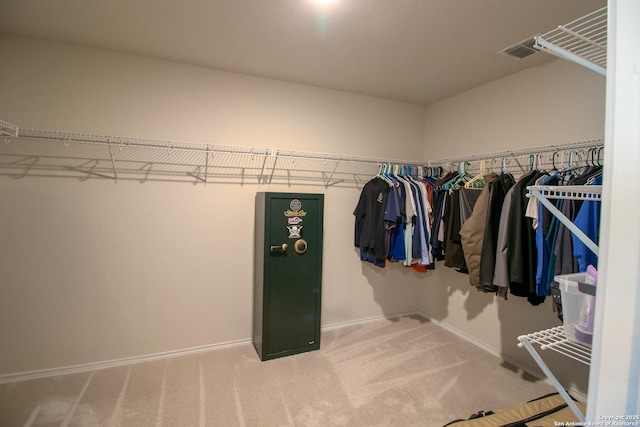 10322 Lady Bird, San Antonio, TX 78252 - walk in closet featuring carpet