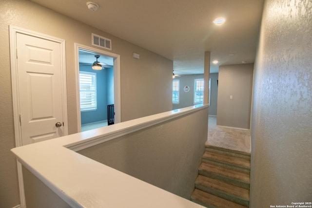 10322 Lady Bird, San Antonio, TX 78252 - hallway featuring recessed lighting and carpet floors
