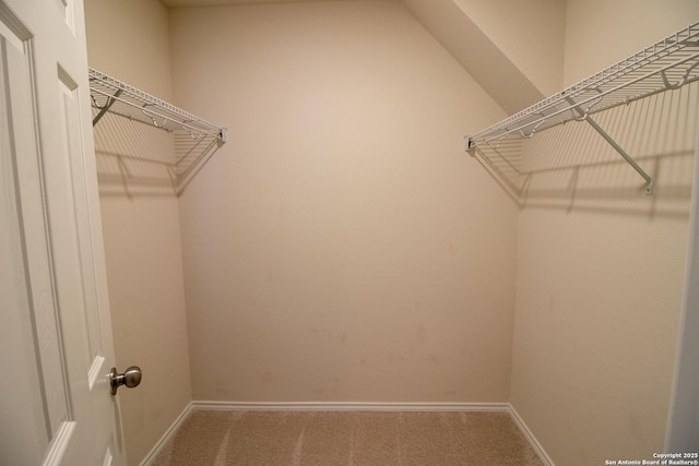 10322 Lady Bird, San Antonio, TX 78252 - spacious closet featuring carpet