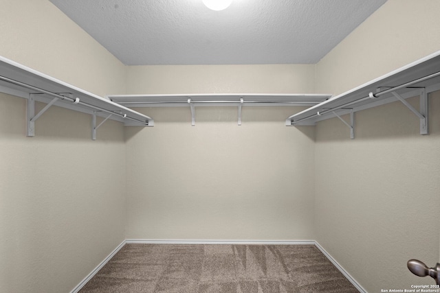 220 Hinge, Cibolo, TX 78108 - spacious closet with carpet floors