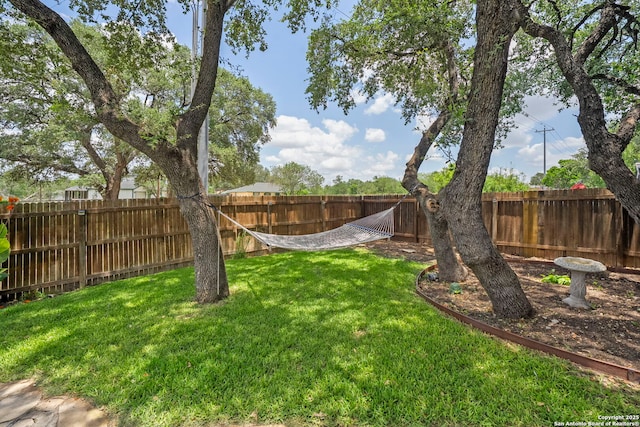 220 Hinge, Cibolo, TX 78108 - view of fenced backyard