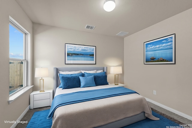 4311 Carlotta Dr, New Braunfels, TX 78130 - carpeted bedroom with multiple windows