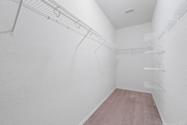 336 Salz, San Antonio, TX 78260 - spacious closet featuring carpet floors