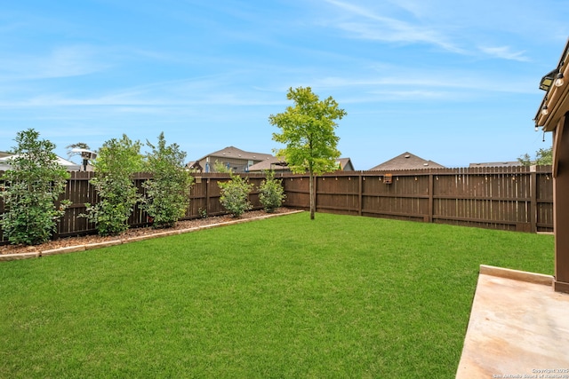 336 Salz, San Antonio, TX 78260 - view of fenced backyard